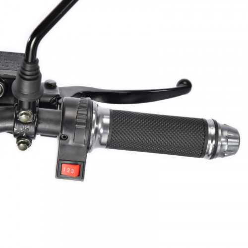 Электроскутер White Siberia TRIKE MINI 1500W в Краснодаре