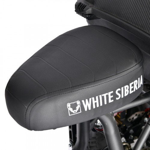 Электроскутер White Siberia TRIKE MINI 1500W в Краснодаре