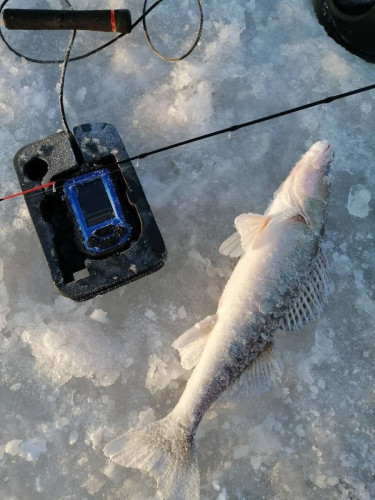 Эхолот Практик 8 в Краснодаре