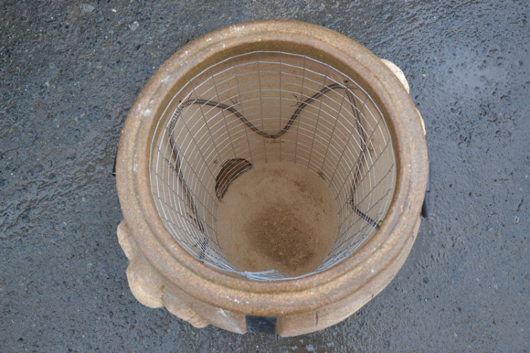 Тандыр Электрический Баран в Краснодаре