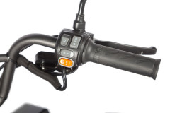 Пассажирский электротрицикл Wanshida LC300