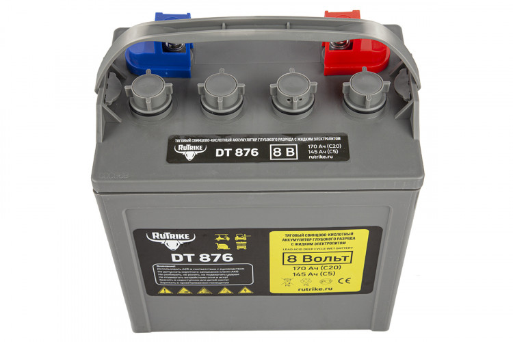 Тяговый аккумулятор RuTrike WET DT876 (T-875) 8V120A/H C3 в Краснодаре