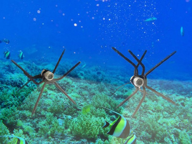 Видеокамера для рыбалки SITITEK VSH 4 в Краснодаре