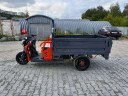 Грузовой электрический трицикл Pаntеrа Гидрaвлика 75V1500W в Краснодаре